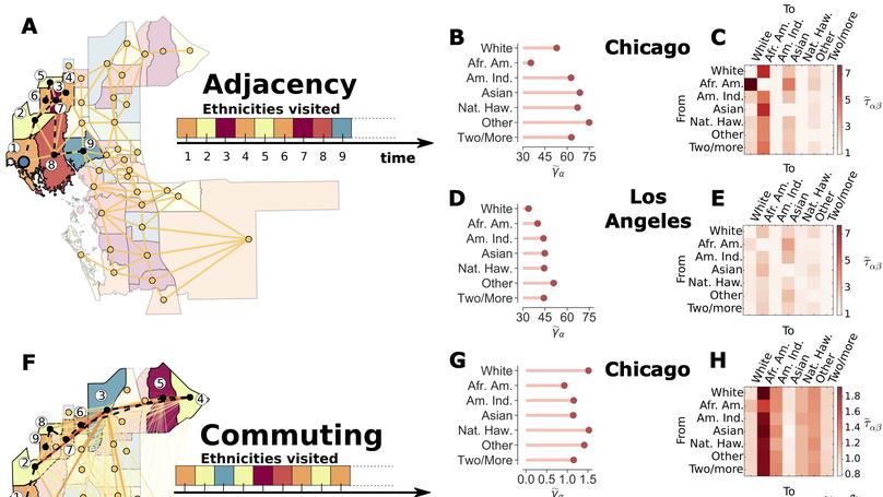 Disproportionate incidence of COVID-19 in African Americans correlates with dynamic segregation